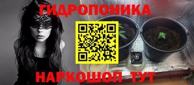 стафф Бузулук